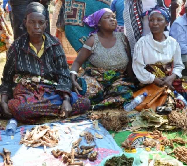 Virt - African Traditional Medicine Day 2021 | Your guide to the world ...
